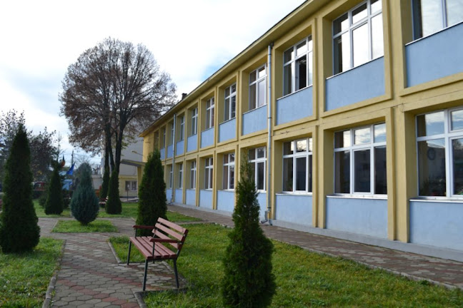 Școala Gimnazială Ioan Vlăduțiu