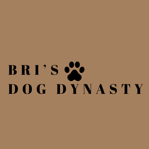 Bri's Dog Dynasty