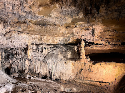 Grottes d'Arcy-sur-Cure à Arcy-sur-Cure