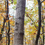 Photo n°1 de l'avis de Joersch.c fait le 23/10/2022 à 14:25 sur le  Waldquelle à Bad Elster