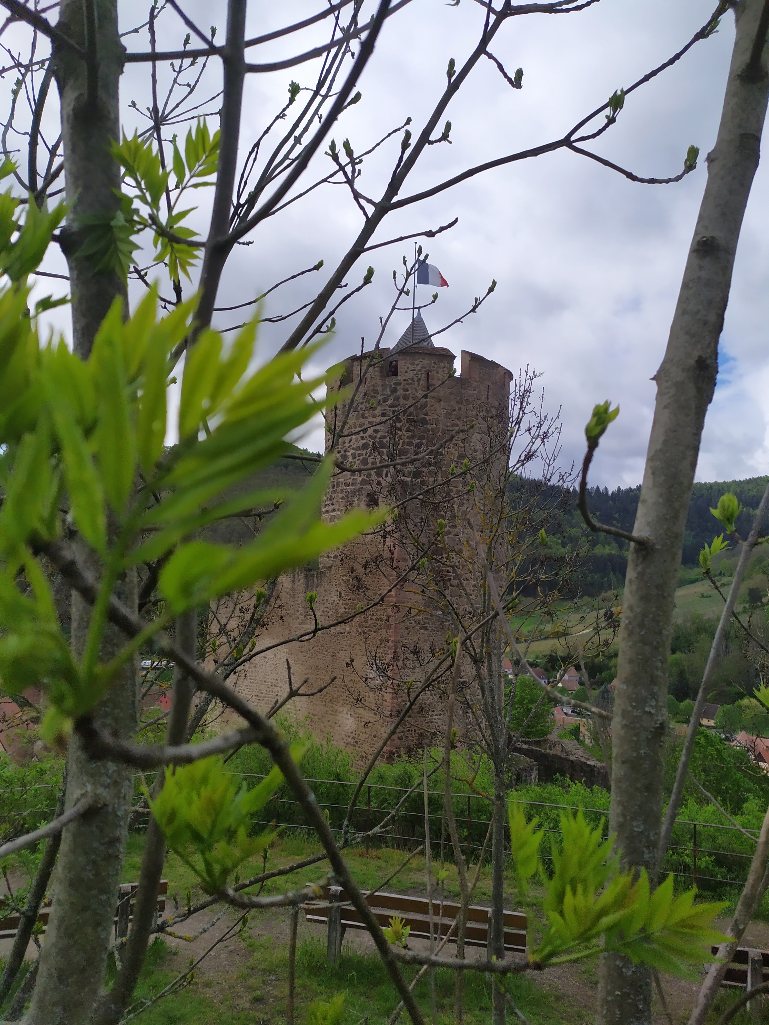 Photo n° 3 de l'avis de giuliani.a fait le 27/04/2019 à 21:08