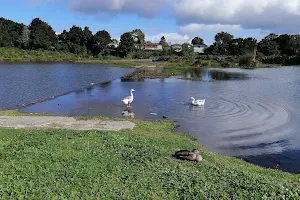 Wattle Farm Ponds Reserve image