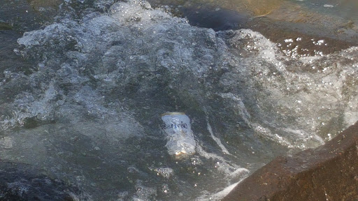 Park «Carl Schurz Park», reviews and photos, East 86th Street & East End Ave, New York, NY 10028, USA