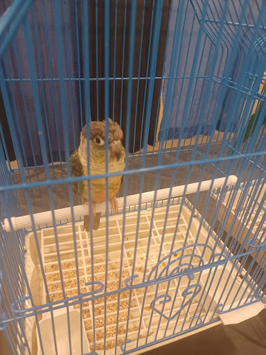 Pittsburgh Mega Reptile Expo