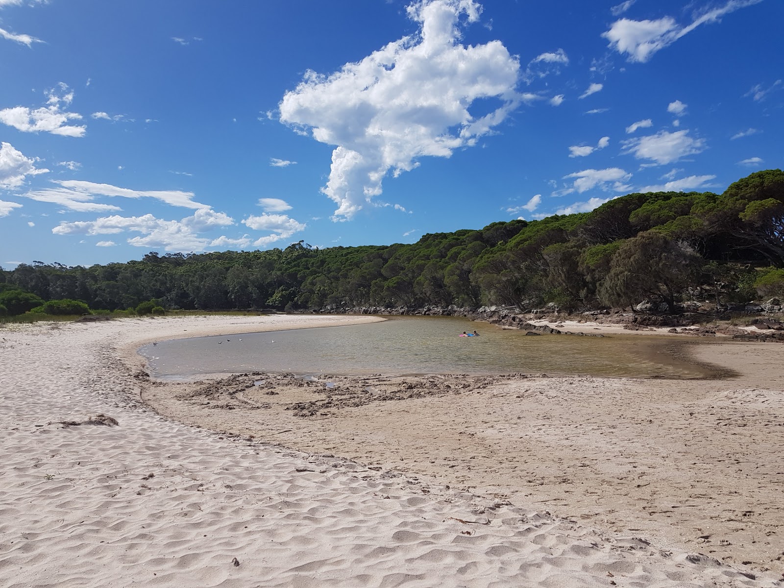 Photo of Saltwater Creek Beach and its beautiful scenery