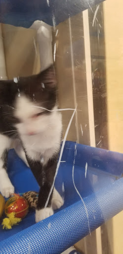 Pet Supply Store «PetSmart», reviews and photos, 3 McKenna Rd, Arden, NC 28704, USA