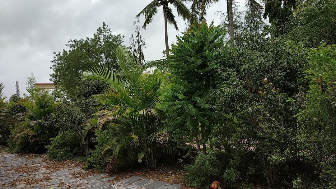 Basava Park