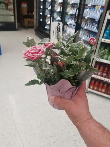 Supermarket «Key Food», reviews and photos, 153-55 Cross Island Pkwy, Whitestone, NY 11357, USA