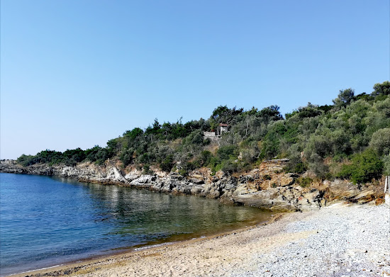 Coast Gerontokores IV