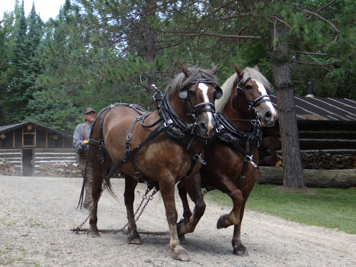 History Museum «Forest History Center», reviews and photos, 2609 Co Rd 76, Grand Rapids, MN 55744, USA