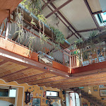 Photo n°2 de l'avis de Thomas.a fait le 13/09/2021 à 08:39 sur le  Ristorante Pizzeria Il Galeone à Numana