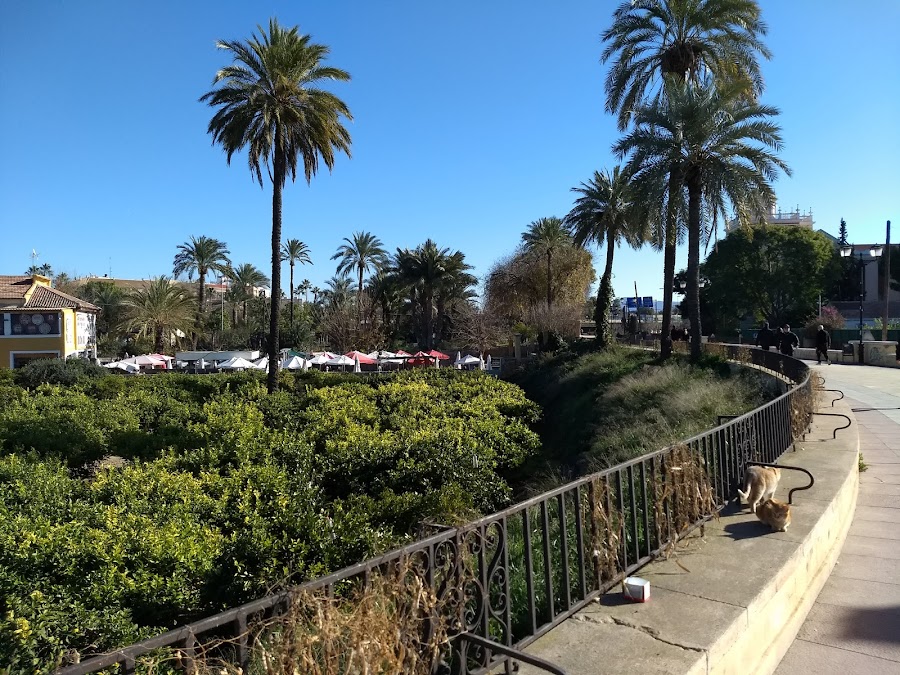Huerto de Los Cipreses