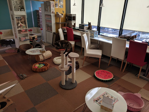 猫まるカフェ 上野店