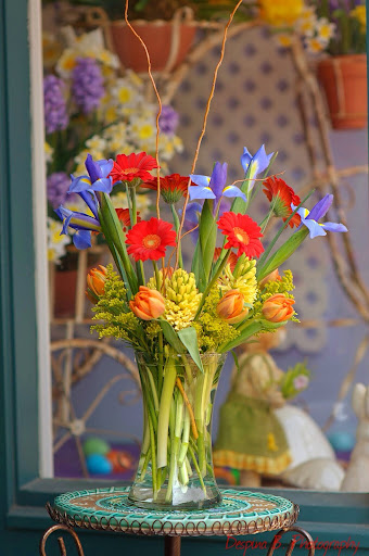 Florist «Flowers By Donna», reviews and photos, 58 Maryland Ave, Annapolis, MD 21401, USA
