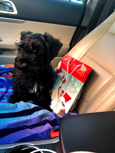 Pet Supply Store «Pet Supermarket», reviews and photos, 2924 13th St, St Cloud, FL 34769, USA