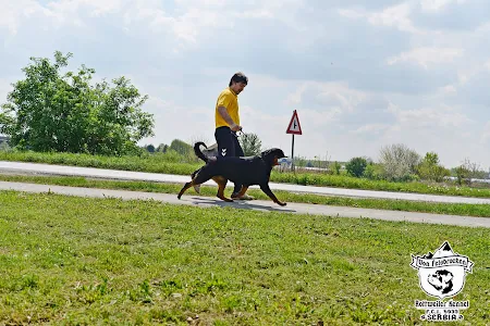 ''Von Felsbrocken'' Rottweiler Kennel in Backa Palanka, Serbia