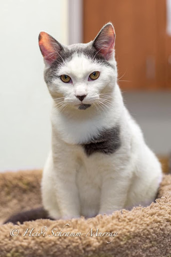 80 Milton Ave, Alpharetta, GA 30009, USA