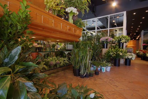 Florist «Allan Woods Flowers», reviews and photos, 2645 Connecticut Ave NW, Washington, DC 20008, USA