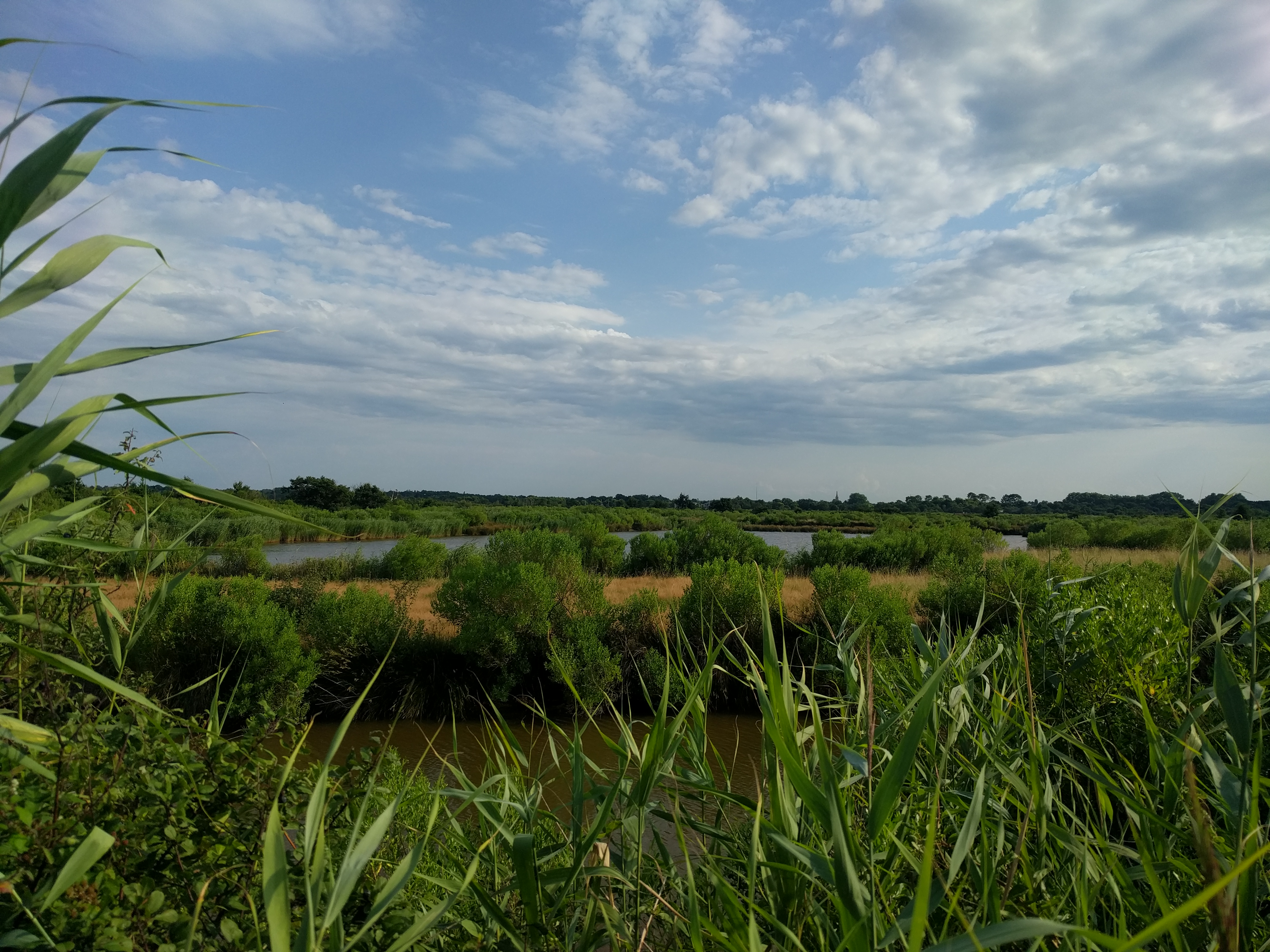 Photo n° 3 de l'avis de Patrick.r fait le 18/07/2018 à 17:51