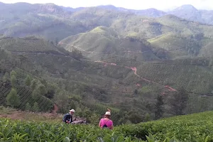 Mountain Hiking Through Tea Plantation - MunnarInfo.in image