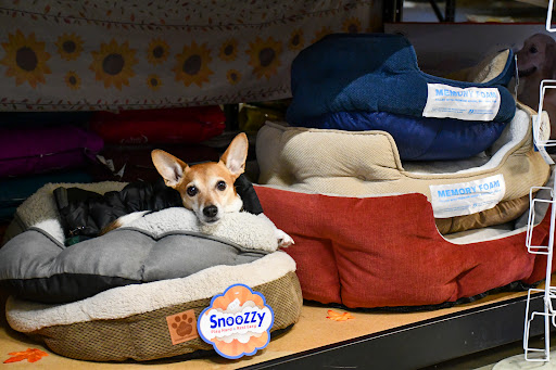 Pet Store «All About Pets LLC», reviews and photos, 52567 Columbia River Hwy, Scappoose, OR 97056, USA