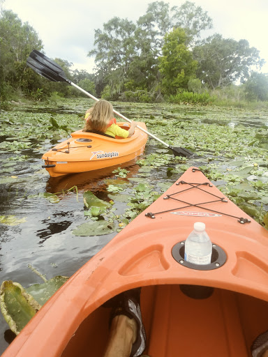 Park «Kapok Park», reviews and photos, 2950 Glen Oak Ave N, Clearwater, FL 33759, USA
