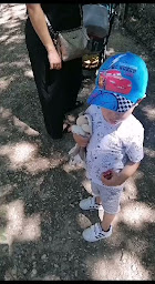 Photo n°6 de Couscousserie de l'Horloge à Avignon ()