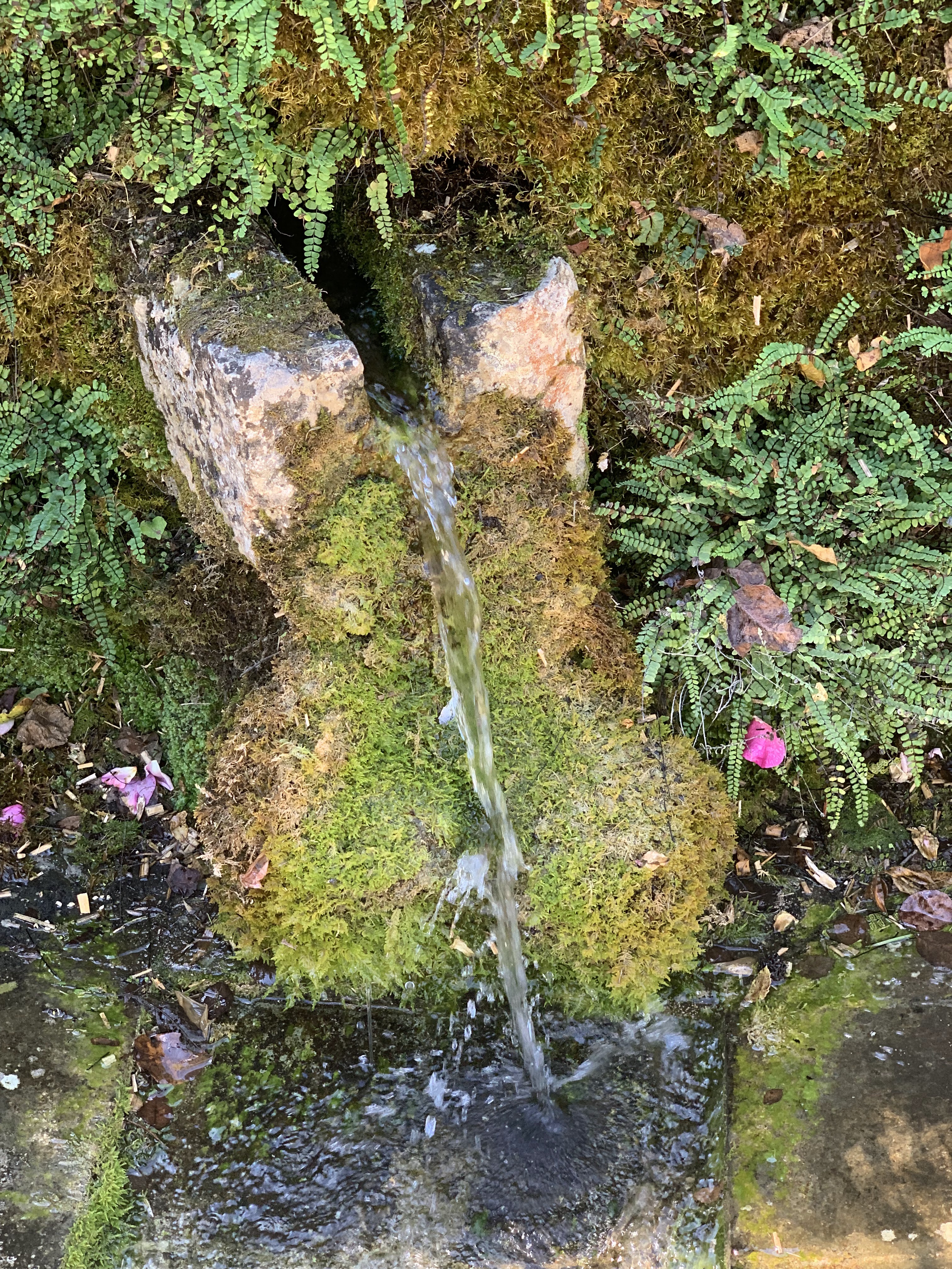 Photo n° 1 de l'avis de Frédérique.r fait le 16/09/2021 à 10:22