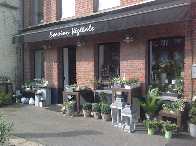 Evasion Végétale à Baisieux