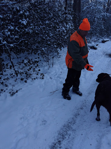 Park «Glassboro Wildlife Management Area», reviews and photos, Fries Mill Rd, Clayton, NJ 08312, USA