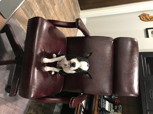 Tire Shop «Evans Automotive & Tire Center», reviews and photos, 1585 Pinecrest St, St Augustine, FL 32084, USA