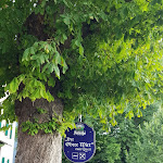 Photo n°1 de l'avis de Andrea.s fait le 29/07/2021 à 08:53 sur le  Der Obere Wirt zum Queri à Andechs