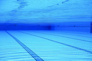 Into the Swim image