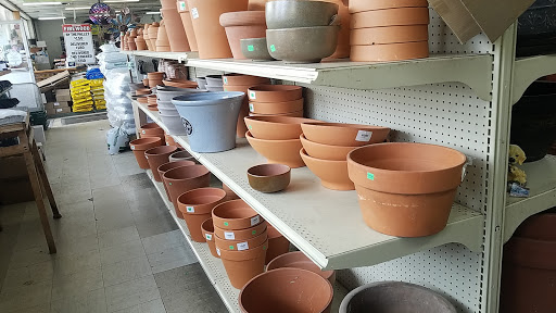 Garden Center «Westminster Nursery & Florist», reviews and photos, 30 Westminster Rd, West Hempstead, NY 11552, USA