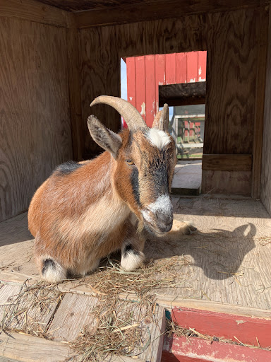 Farm «Clarks Elioak Farm LLC», reviews and photos, 10500 Clarksville Pike, Ellicott City, MD 21042, USA