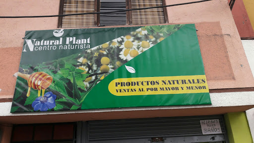 Natural Plant Centro Naturista