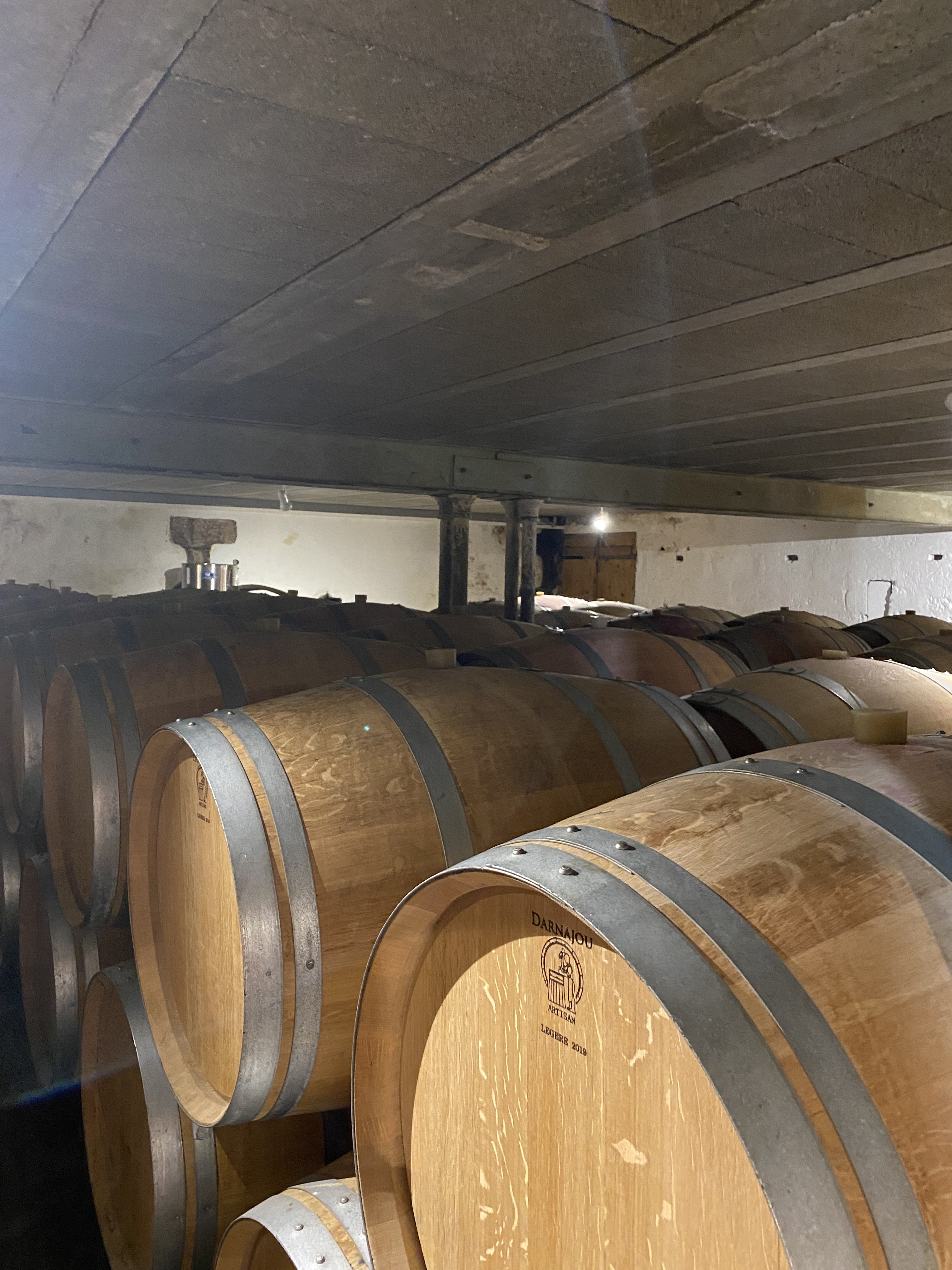 Photo n° 2 de l'avis de Giulia.e fait le 15/11/2022 à 16:28