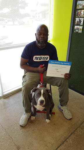 Pet Supply Store «Petco Animal Supplies», reviews and photos, 8809 Lakeview Pkwy #116, Rowlett, TX 75088, USA