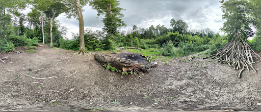 site_photo1