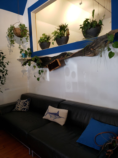 Tattoo Shop «Black & Blue Tattoo», reviews and photos, 381 Guerrero St, San Francisco, CA 94103, USA