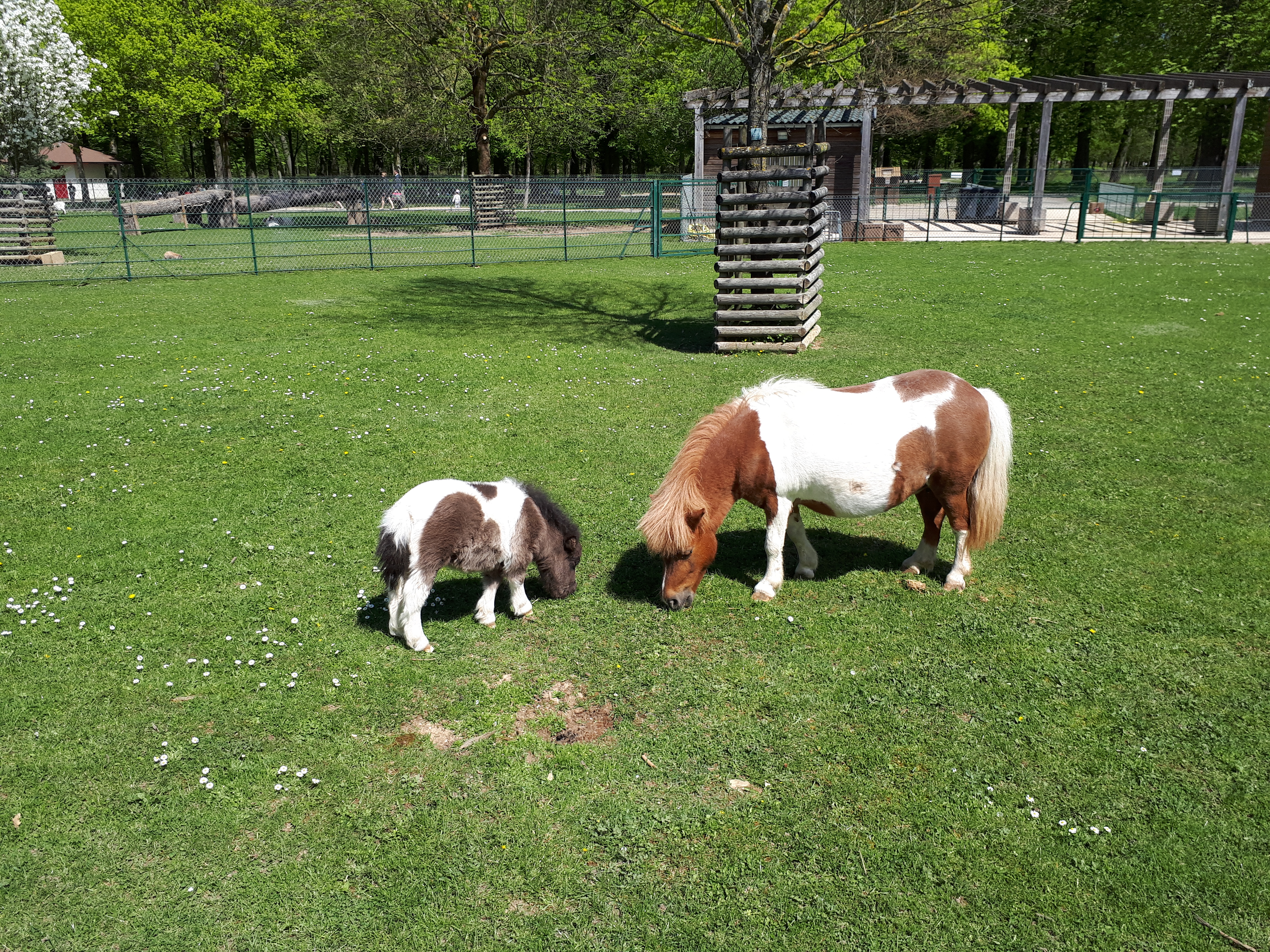 Photo n° 2 de l'avis de Steph.e fait le 19/10/2017 à 20:45