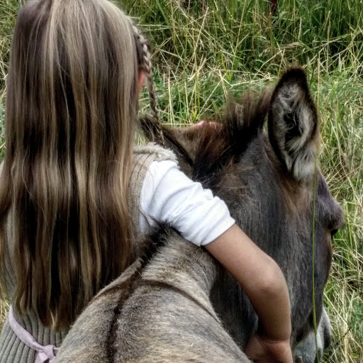 Tourist Attraction «Tollen Farm», reviews and photos, 11681 SW Tooze Rd, Wilsonville, OR 97070, USA