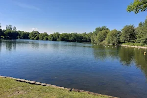 Needham Lake Play Area and Walks image