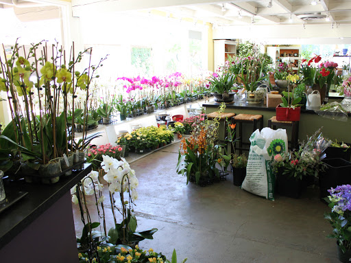 Garden Center «Ladera Garden & Gifts», reviews and photos, 3130 Alpine Rd #380, Portola Valley, CA 94028, USA