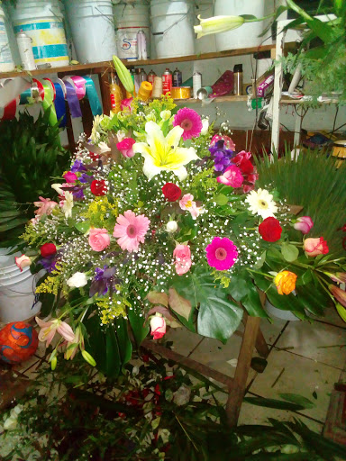 Florería Lucy – Jesús María