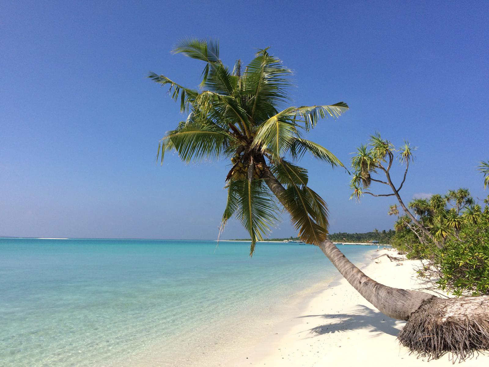 Photo de Nolhivaranfaru Beach avec un niveau de propreté de très propre