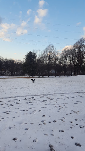 Park «Teegarden Park», reviews and photos, 440 Old State Rd, Berwyn, PA 19312, USA