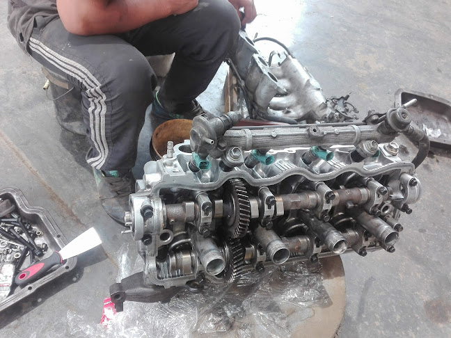 Av. Alejandro Bertello Bollati 14, San Martín de Porres 15112