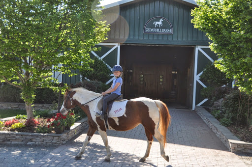 Cedarhill Farm