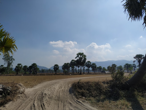 Top 20 mẫu cửa hàng đẹp Huyện Tịnh Biên An Giang 2022